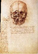 LEONARDO da Vinci Anatomy of the Schadels oil painting reproduction